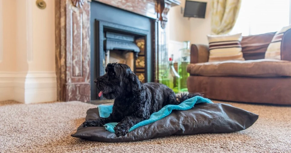 The Red Lion Hotel Cromer: Historic Seaside Escape in Norfolk